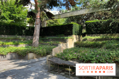 Square Eugénie Djendi - nos photos - C11014E2 DCBD 4A14 A7C7 37FBB8023C76