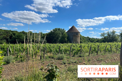 Paris-Rambouillet à pied - nos photos - 50F1D405 06A3 4B1F B8FC CD3BDB65BAC0