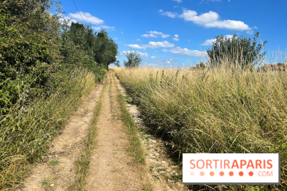 Paris-Rambouillet à pied - nos photos - DF4FD716 169E 424A 938E 9B3E81624D76