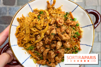 Ti Dodo Gourmand - Karay riz frit poulet