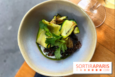 Shuzo - Salade campesina, courgettes, lentilles