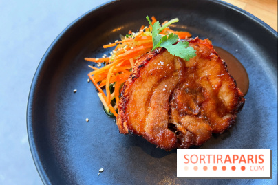 Shuzo - Chashu-Chicharron