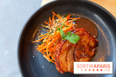 Shuzo - Chashu-Chicharron