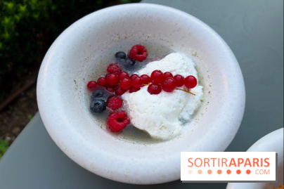 Joli, Musée Carnavalet - Nage fruits rouges