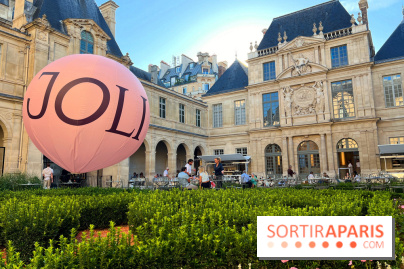 Joli, Musée Carnavalet - Terrasse jardin musée