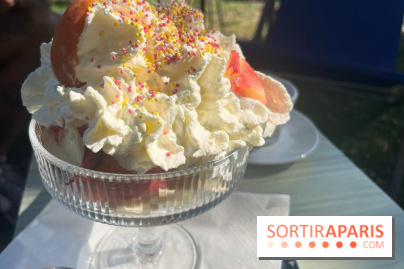 La guinguette des Bords de Marne - nos photos - 332B7959 DA91 4BF4 AF31 3234D94F8CBF