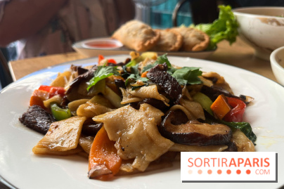 Phayul Tibet, les spécialités tibétaines à Paris - nos photos - DCCA0368 FDEA 471D 8BC3 C4E18AE5226B