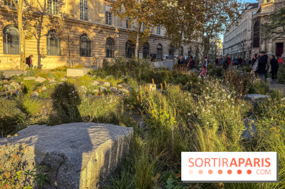 Jardin mémoriel du 13 novembre 2015 - Jardin du Souvenir - nos photos - IMG 1809