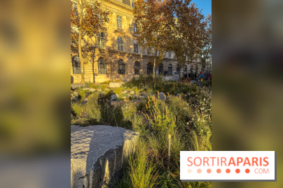 Jardin mémoriel du 13 novembre 2015 - Jardin du Souvenir - nos photos - IMG 1812