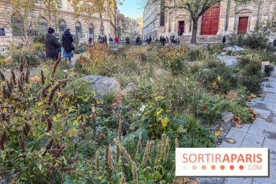 Jardin mémoriel du 13 novembre 2015 - Jardin du Souvenir - nos photos - IMG 1814
