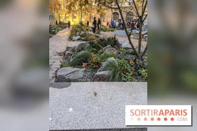 Jardin mémoriel du 13 novembre 2015 - Jardin du Souvenir - nos photos - IMG 1825