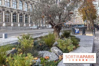 Jardin mémoriel du 13 novembre 2015 - Jardin du Souvenir - nos photos - IMG 1835