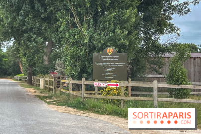 Balade en chevaux Henson en forêt de Fontainebleau  - IMG 1986