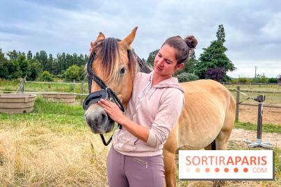 Balade en chevaux Henson en forêt de Fontainebleau