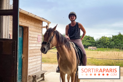 Balade en chevaux Henson en forêt de Fontainebleau  - IMG 2023