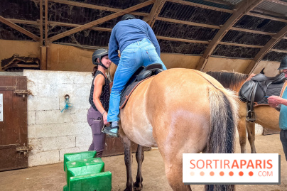 Balade en chevaux Henson en forêt de Fontainebleau