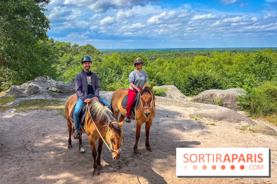 Balade en chevaux Henson en forêt de Fontainebleau  - IMG 2049