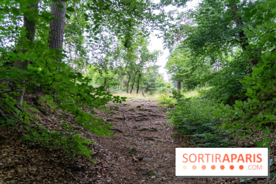 L'Hippodrome de la Solle à Fontainebleau - photos - A7C02777