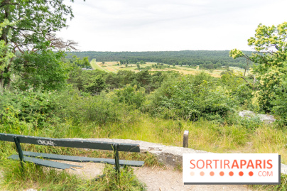 L'Hippodrome de la Solle à Fontainebleau - photos - A7C02778