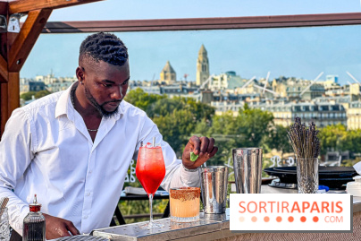 Bar Les Ombres : cocktails & tapas sur le rooftop du Musée du Quai Branly avec vue sur la tour Eiffel