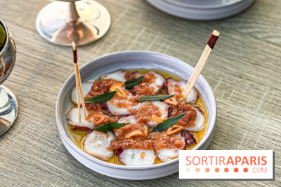 Bar Les Ombres : cocktails & tapas sur le rooftop du Musée du Quai Branly avec vue sur la tour Eiffel - IMG 8117