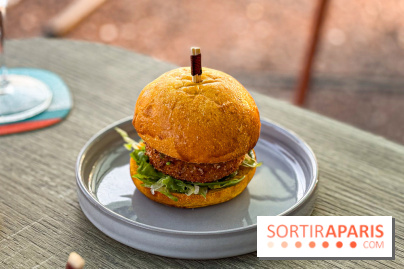 Bar Les Ombres : cocktails & tapas sur le rooftop du Musée du Quai Branly avec vue sur la tour Eiffel - IMG 8121