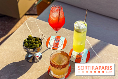 Bar Les Ombres : cocktails & tapas sur le rooftop du Musée du Quai Branly avec vue sur la tour Eiffel