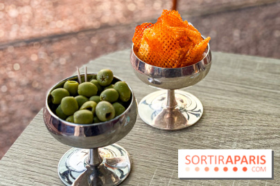 Bar Les Ombres : cocktails & tapas sur le rooftop du Musée du Quai Branly avec vue sur la tour Eiffel