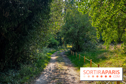 Parc de la Roseraie Châtenay - IMG 4428 jpg