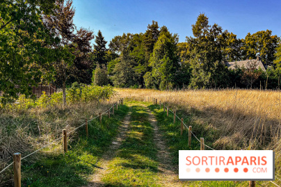 Parc de la Roseraie Châtenay - IMG 4435 jpg