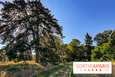 Parc de la Roseraie Châtenay