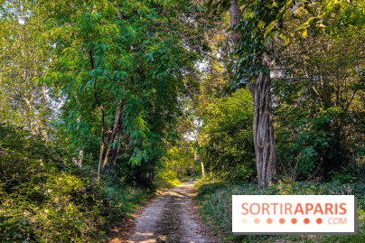 Parc de la Roseraie Châtenay - IMG 4451 jpg