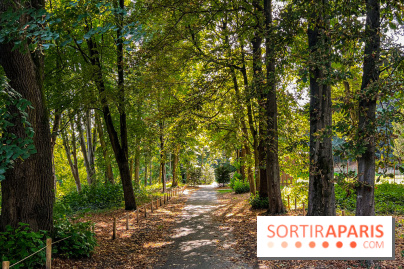 Parc de la Roseraie Châtenay - IMG 4458 jpg 2