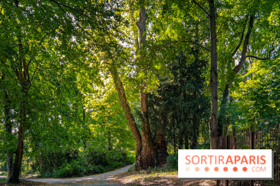 Parc de la Roseraie Châtenay - IMG 4461 jpg