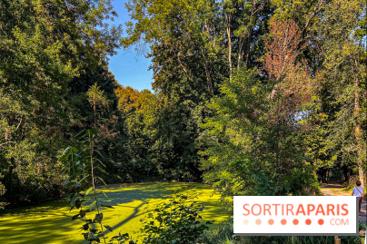 Parc de la Roseraie à Chatenay Malabry (92) : 8 hectares de verdure classés Monument Historique