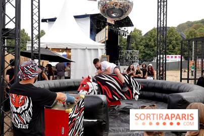 Rock en Seine 2025 - nos photos - ambiance
