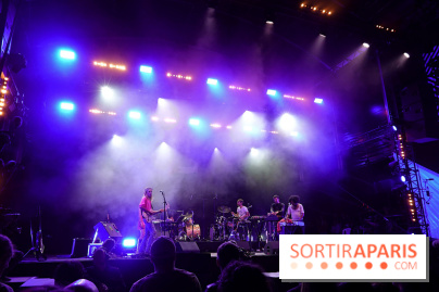 Rock en Seine 2025 - The Psychotic Monks