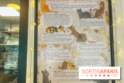 Chat-Rivari Café - IMG 4688