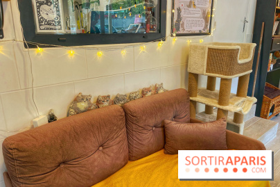 Chat-Rivari Café - IMG 4689