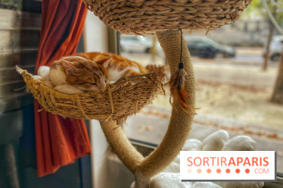 Chat-Rivari Café