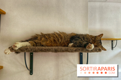 Chat-Rivari Café - IMG 4696