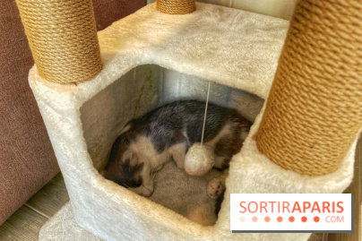 Chat-Rivari Café