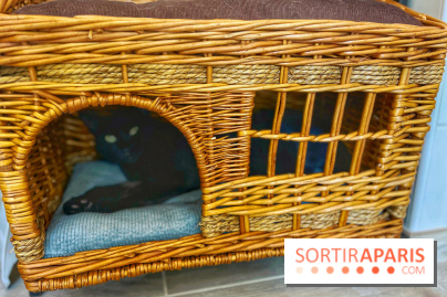 Chat-Rivari Café