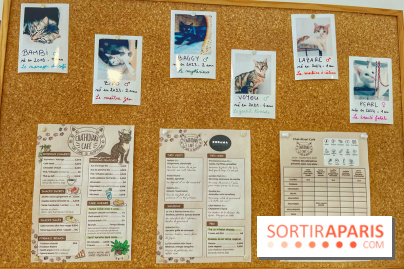 Chat-Rivari Café