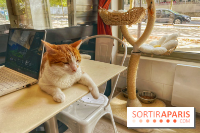 Chat-Rivari Café