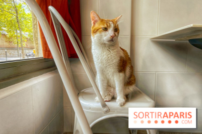 Chat-Rivari Café