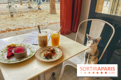 Chat-Rivari Café