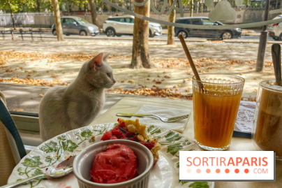 Chat-Rivari Café