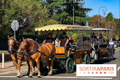 Tous en piste ! à Maisons-Laffitte (78): poneys, calèche et spectacles équestres gratuits au château
