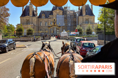 Tous en piste ! à Maisons-Laffitte (78): poneys, calèche et spectacles équestres gratuits au château - IMG 8151 jpg